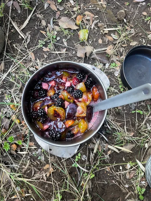 Fruit Compote